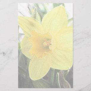 Papelaria Um Daffodil amarelo alegre
