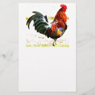 Papelaria Um galo