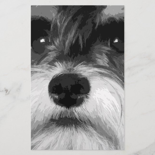 Papelaria Um Schnauzer diminuto preto e branco (Frente)