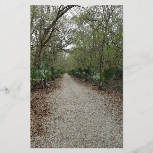 Papelaria Uma caminhada na Natureza (Frente)