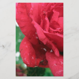 Papelaria Uma Rosa vermelha