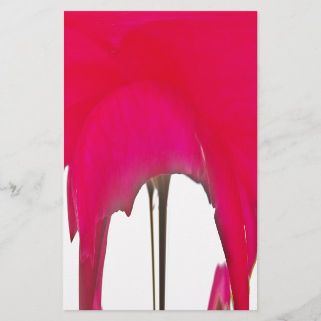 Papelaria Uma Rosa vermelha maravilhosa sob o céu branco (Frente)