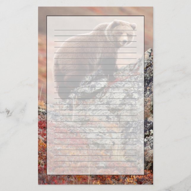Papelaria Urso de Denali Brown (Frente)