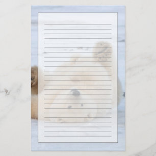 Papelaria urso polar, Ursus maritimus, filhote rolando 3