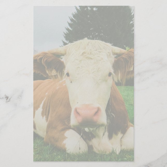 Papelaria Vacas (Frente)