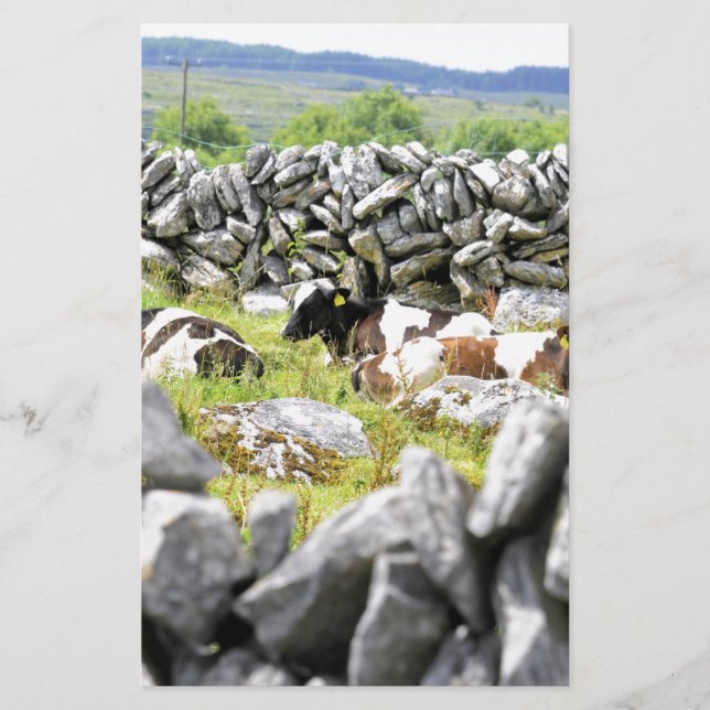 Papelaria Vacas de Moo (Frente)