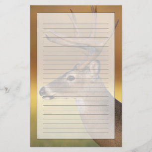 Papelaria Veado-mateiro, Odocoileus virginianus,
