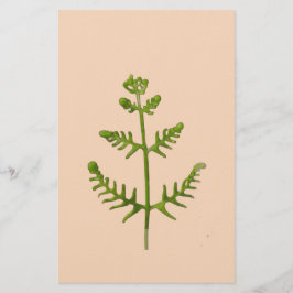 Papelaria verde primavera