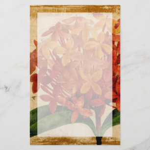 Papelaria Vibrant Floral III