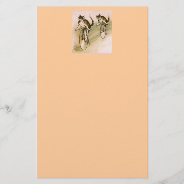 Papelaria Vintage Cats on Bikes (Frente)