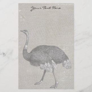 Papelaria Vintage Ostrich