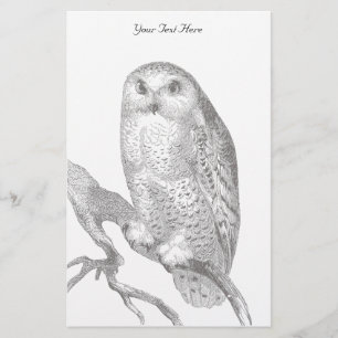 Papelaria Vintage Snowy Owl Stationery