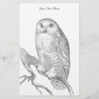 Papelaria Vintage Snowy Owl Stationery