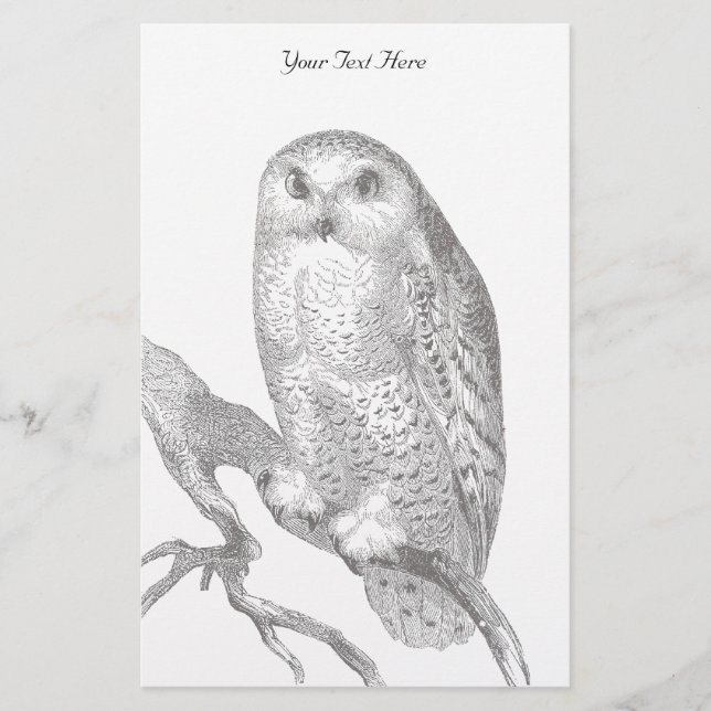 Papelaria Vintage Snowy Owl Stationery (Frente)