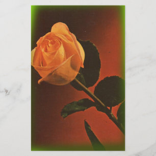Papelaria Vintage Yellow Rose
