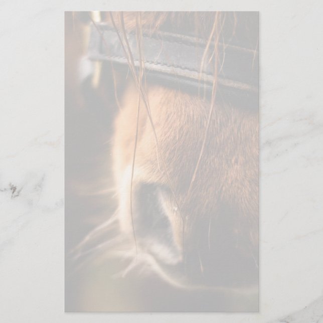 Papelaria Vista de um Nariz de Cavalo Marrom (Frente)