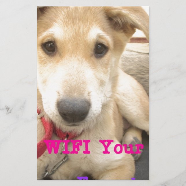 Papelaria Você Deveria Fazer O Seu Amor Todos Os Dias (Frente)