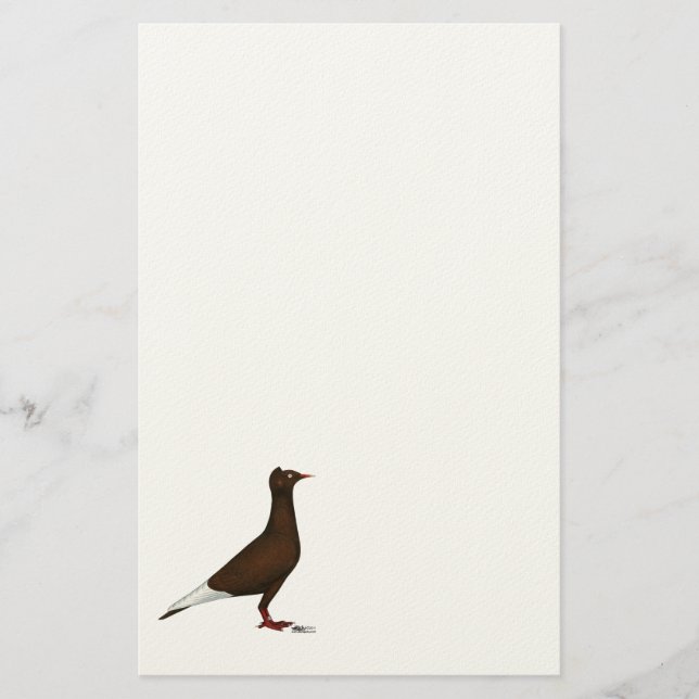 Papelaria Voo Boné de Voo Pombo (Frente)