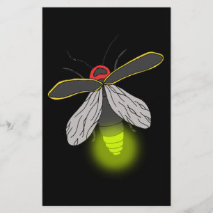 Papelaria vôo do inseto de relâmpago iluminado