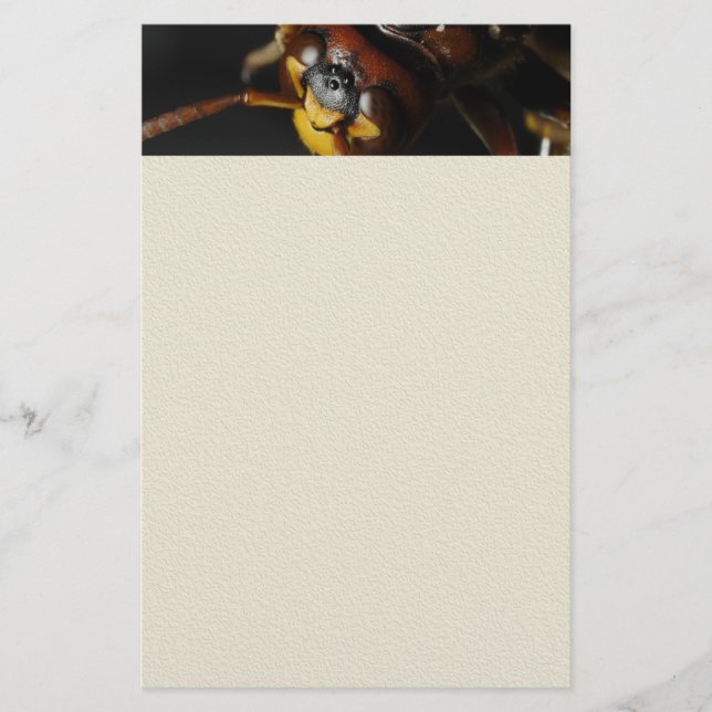 Papelaria Wasp (Frente)