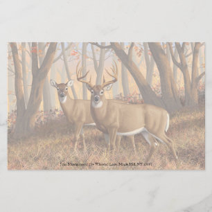 Papelaria Whitetail Deer Buck & Doe Autumn Mapods