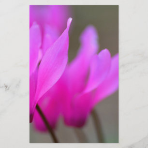 Papelaria Wild Cyclamen Macro