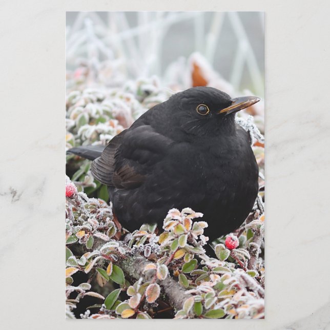 Papelaria Winter Blackbird (Frente)