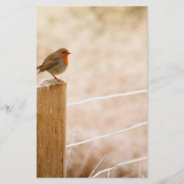 Papelaria Winter Robin Redbreast
