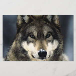 Papelaria Wolf Portrait Stationery