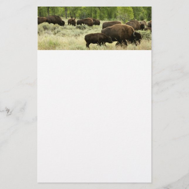 Papelaria Wyoming Bison Nature (Frente)