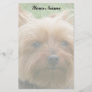 Papelaria Yorkshire terrier