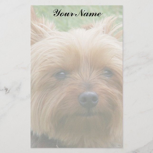 Papelaria Yorkshire terrier (Frente)