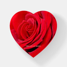 Paperweight floral da rosa vermelha