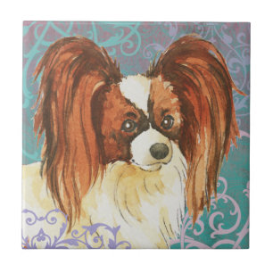 Papillon elegante
