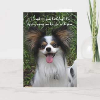 Papillon, és o velho cartão de aniversário