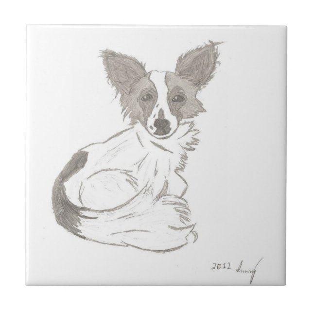 Papillon Sketch Azulejo (Frente)