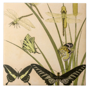 Papillons & Dragonflies por Maurice Verneuil