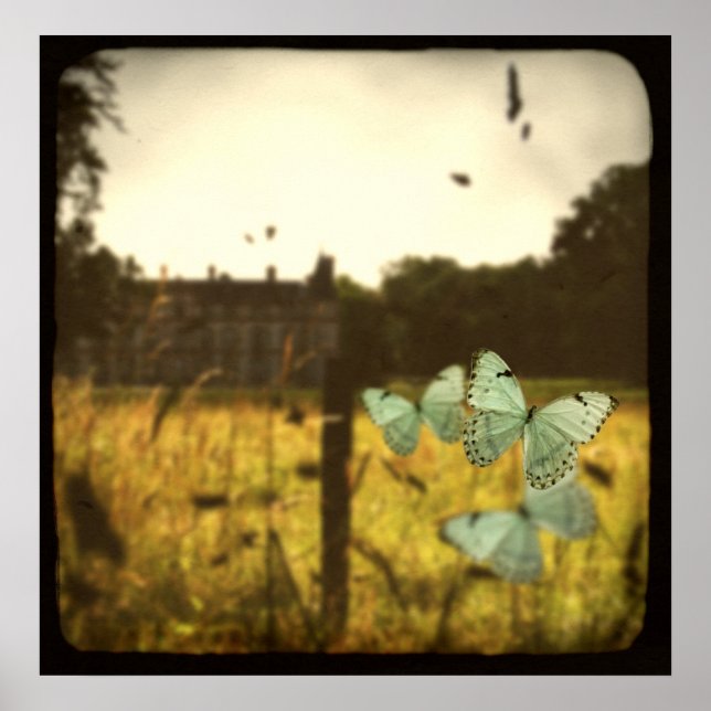 Papillons Poster (Frente)