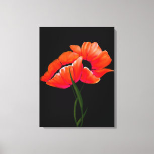 Papoilas elegantes da tangerina em canvas pretas