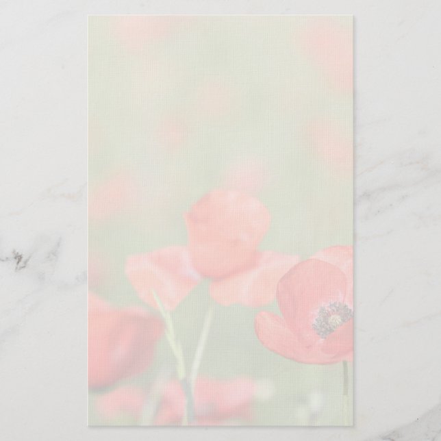 Papoilas em uns artigos de papelaria do campo da (Frente)