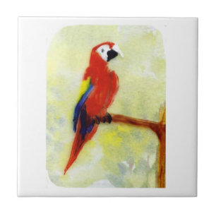 Paprot Art Colorful Macaw