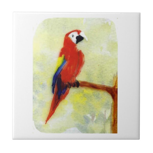 Paprot Art Colorful Macaw (Frente)