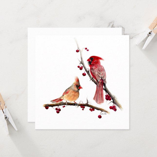 Par d'água cardinal (Winter Cardinal Pair by Jenn Steffen Art)