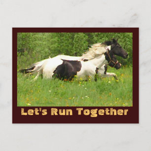 Par de cartões postais Pintos