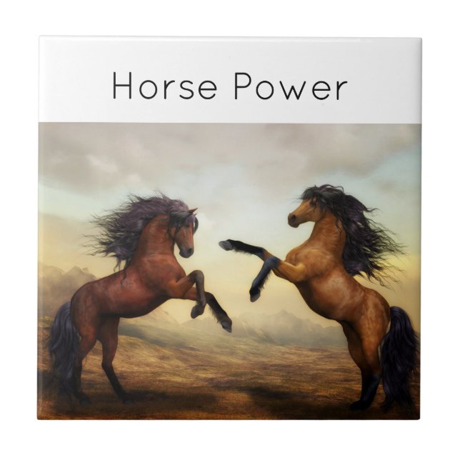 par de cavalos selvagens (Frente)