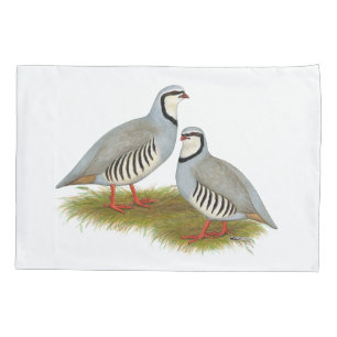 Par de Chukar Partridge