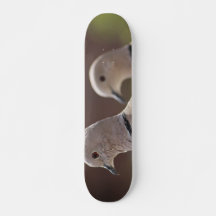 Par de Pombos Skateboard
