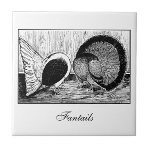 Par Fantail