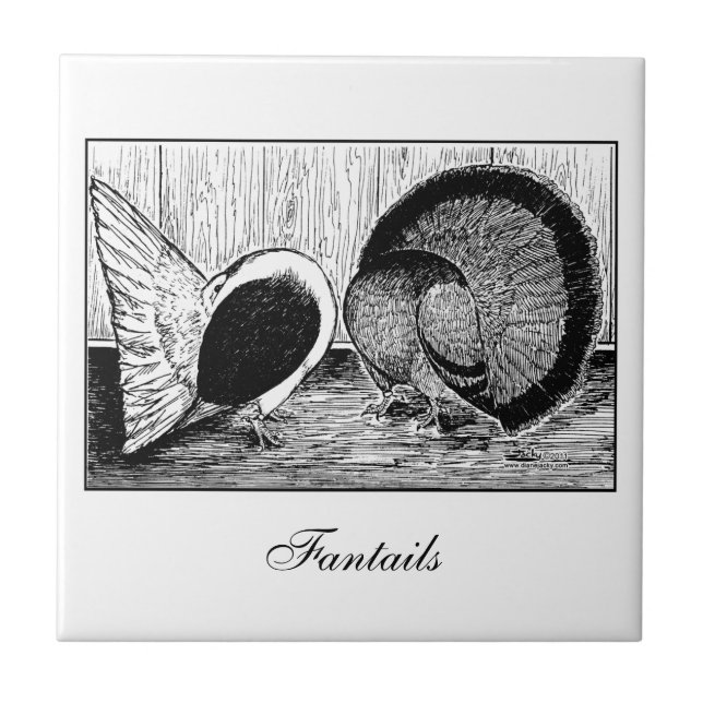 Par Fantail (Frente)