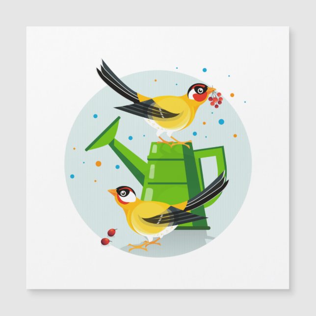 Par Goldfinho sentado juntando bagas (Frente)